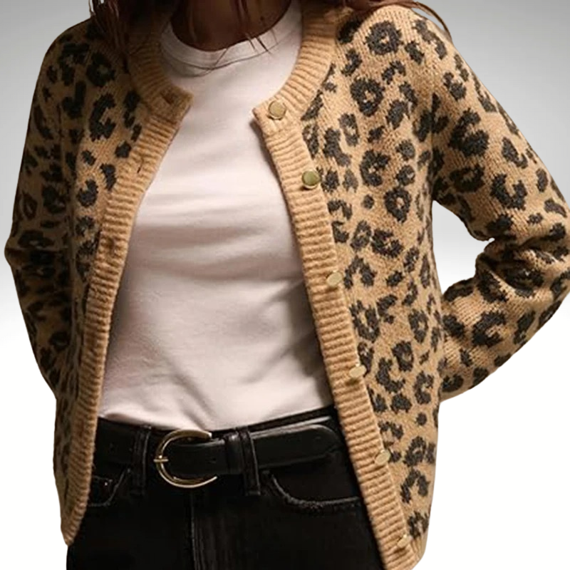 Chic women’s leopard knitwear V-neck